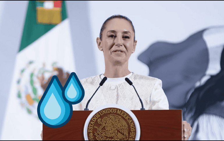 La Mandataria  destacó el trabajo de las Secretarías de Relaciones Exteriores y de Agricultura y Desarrollo Rural en el tema. SUN / F. ROJAS