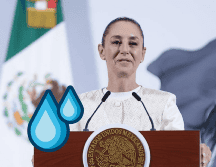 La Mandataria  destacó el trabajo de las Secretarías de Relaciones Exteriores y de Agricultura y Desarrollo Rural en el tema. SUN / F. ROJAS