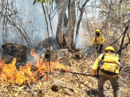 Conafor señala que la capacitación para un combatiente dura un promedio de tres años. X/@CONAFOR