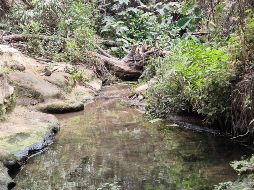 Los Colomos es mucho más que un espacio para la recreación y las tardes del domingo. EL INFORMADOR / F. SALCEDO