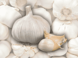 Para hacer más efectivo su consumo, se recomienda la ingesta de ajo en ayunas. ESPECIAL / CANVA