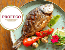 El filete fresco de mero, se observó una disminución de 20% en el precio para venderse en 266 pesos el kilo. CANVA