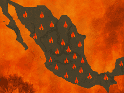 Los estados con más incendios activos son Chihuahua, Michoacán, Oaxaca, Guerrero, Morelos, Durango y Sinaloa. DALL-E