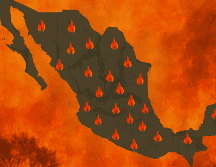 Los estados con más incendios activos son Chihuahua, Michoacán, Oaxaca, Guerrero, Morelos, Durango y Sinaloa. DALL-E