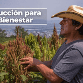 Producción para el Bienestar: ¿Cuándo depositan el pago de abril?
