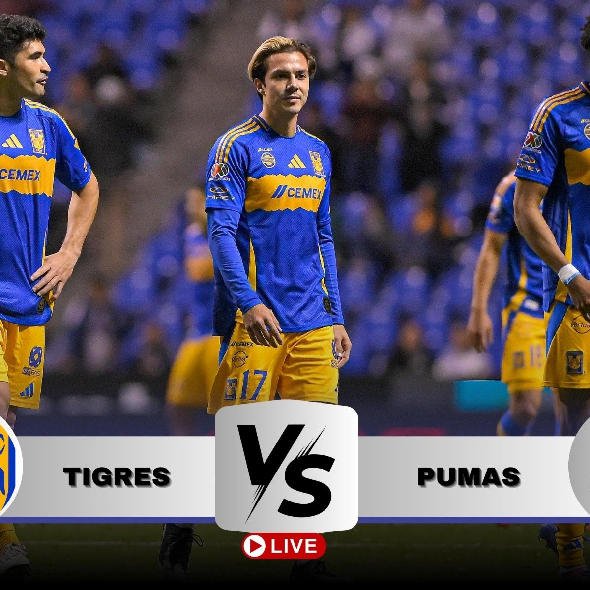 pumas y tigres
