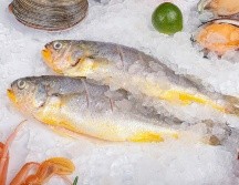 Congelar correctamente el pescado requiere una serie de pasos que aseguren su seguridad alimentaria, textura y sabor. ESPECIAL / CANVA