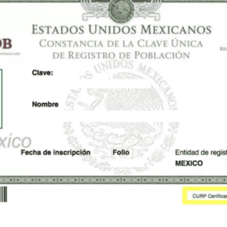 INE señala preocupaciones por nueva CURP con datos biométricos