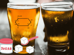La mayoría de las cervezas comerciales no incluyen azúcar añadida. UNSPLASH / CANVA