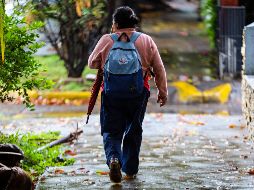 Canales de baja presión sobre el interior del país, aunado a la entrada de humedad, ocasionarán lluvias y chubascos con descargas eléctricas. EL INFORMADOR / ARCHIVO