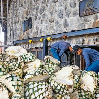 Crecen exportaciones y producción de tequila