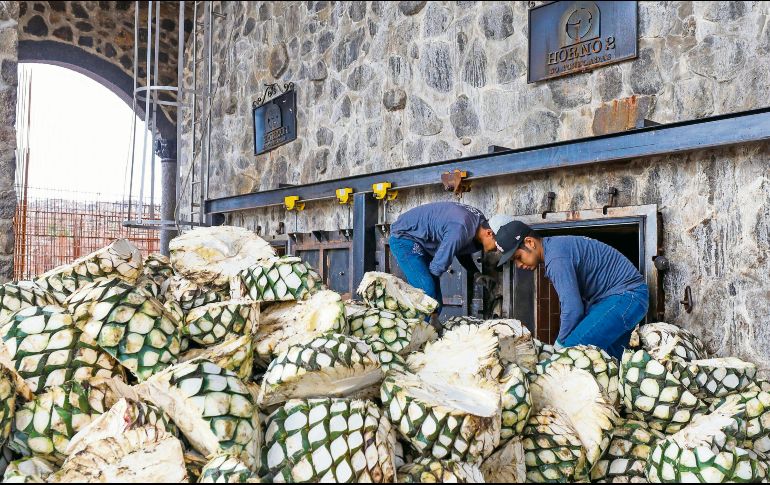 A pesar de la incertidumbre arancelaria, las exportaciones de tequila crecieron un 18.6% en el primer semestre del 2025. EL INFORMADOR/Archivo