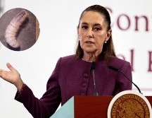 Sheinbaum consideró que 