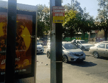 “Sales a caminar, sales en la bici, simplemente en la Vía RecreActiva, y te cansas. Es bien cansado estar quitando toda la basura de los postes