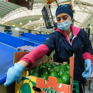 Jalisco reporta disminución en la tasa de desempleo durante marzo