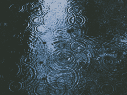 La Comisión Nacional del Agua (Conagua) resaltó que México se encuentra en la ruta de huracanes originados tanto en el océano Pacífico como en el Atlántico. Unsplash.