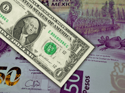 Hoy, la mejor opción en la compra del dólar —en este momento de la mañana (a las 07:31 horas)— es en Banamex y la venta, en BBVA Bancomer. EL INFORMADOR / O. Álvarez