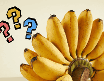 Desde los verdes, que son firmes y ricos en almidón, hasta los maduros con manchas oscuras que concentran azúcares y antioxidantes, cada etapa tiene algo diferente que ofrecer. En este artículo exploraremos cuándo es mejor comer un plátano según su color y qué beneficios específicos aporta en cada fase de maduración. CANVA