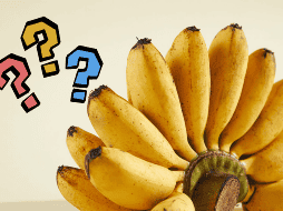 Desde los verdes, que son firmes y ricos en almidón, hasta los maduros con manchas oscuras que concentran azúcares y antioxidantes, cada etapa tiene algo diferente que ofrecer. En este artículo exploraremos cuándo es mejor comer un plátano según su color y qué beneficios específicos aporta en cada fase de maduración. CANVA