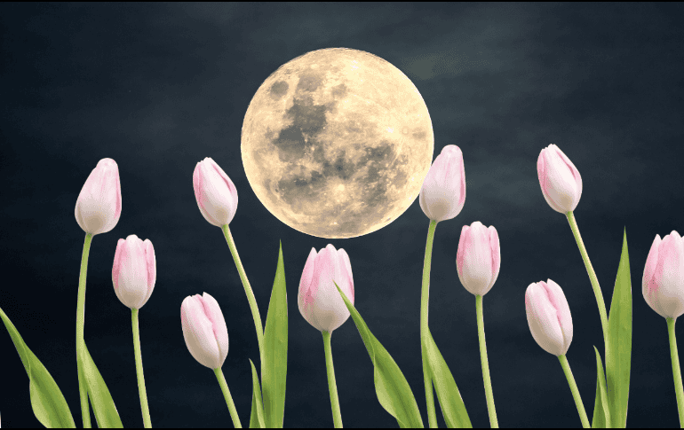 La Luna de Flores está a punto de iluminar el cielo nocturno de México. ESPECIAL