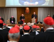 Sobre la nacionalidad del próximo pontífice o el perfil de los candidatos, ni siquiera los cardenales no electores se atreven a hacer conjeturas. EFE /  ESTADO VATICANO / M. TOMASSETTI