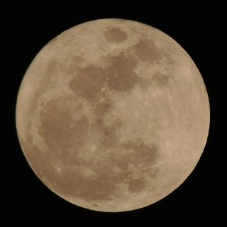 ¿Cuándo se podrá ver la Luna de Flores en México?