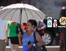 Este producto puede ser la solución frente a la temporada de calor. EL INFORMADOR / ARCHIVO