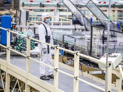 Jalisco celebra la reducción de trabajos informales y reconoce los desafíos que esto a representado para diferentes industrias. EL INFORMADOR/A. Navarro