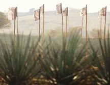 Akamba 2025. CORTESÍA