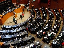 La Cámara de Senadores prepara a su equipo jurídico. SUN