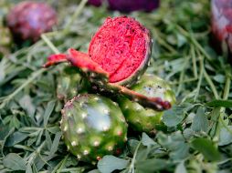 Este fruto comienza a engalanar el horizonte y los sabores de Amacueca a partir de hoy. EL INFORMADOR/Archivo