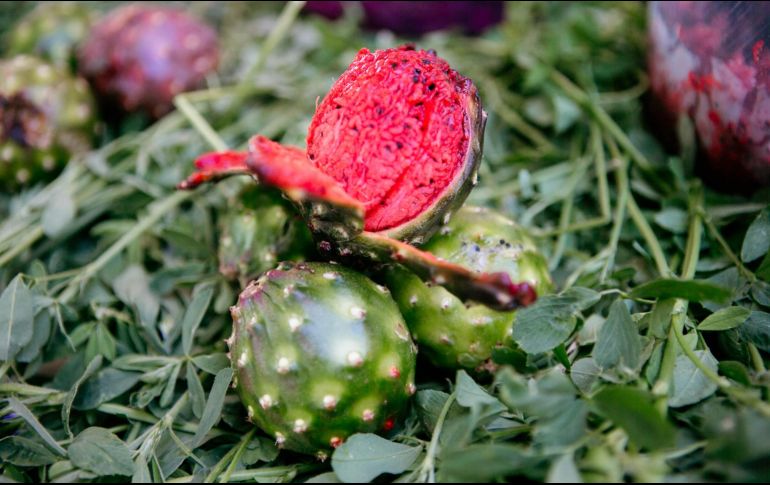 Este fruto comienza a engalanar el horizonte y los sabores de Amacueca a partir de hoy. EL INFORMADOR/Archivo