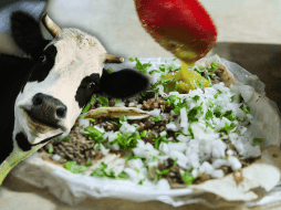 Si eres de los valientes que come tacos de ojo, es importante que sigas algunas recomendaciones. EL INFORMADOR / ARCHIVO