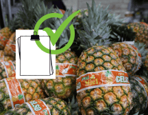 Consumir alimentos de temporada trae múltiples ventajas a la vida cotidiana, pues se encuentran en el mejor momento de su frescura. EL INFORMADOR/ARCHIVO