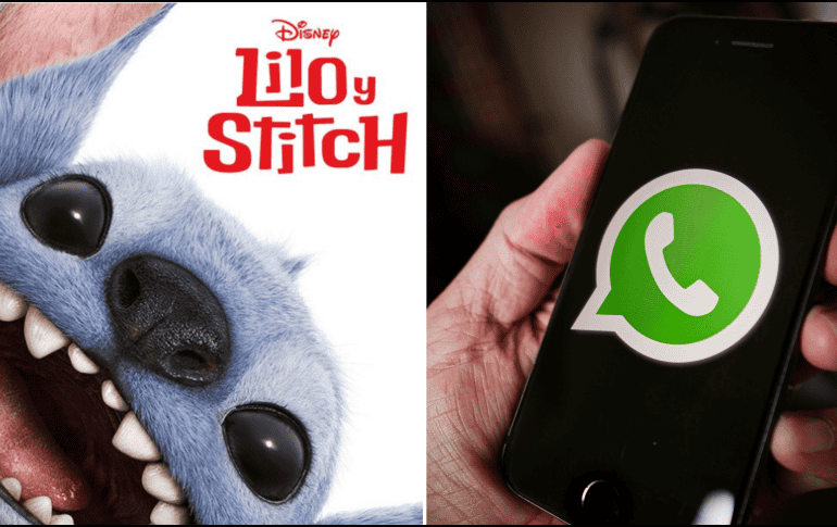 WhatsApp ha implementado el modo 'Stitch', el cual permite que lleves a este personaje en tu app. ESPECIAL/ DISNEY/ UNSPLASH/ G. Davies