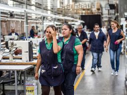 En la mitad del país se registró una disminución de plazas. EL INFORMADOR/ Archivo