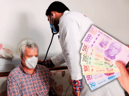 Hay carreras que demandan mucha formación, pero redituan con buenos ingresos. SUN / ARCHIVO