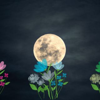 Luna de Flores: Fenómeno de micro luna también será visible