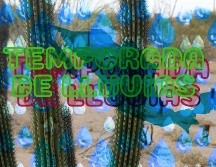 A unos días del inicio de la temporada de lluvias, estos estados podrían verse beneficiciados por una anomalía climática. EFE / ARCHIVO