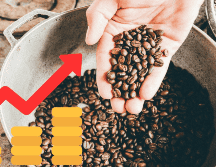 El café se encareció a menor velocidad en las tres principales urbes del país. UNSPLASH / M. MILOEZGER