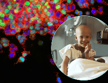 A diferencia del cáncer en adultos, donde existen pruebas de tamizaje, en los menores el diagnóstico depende de la observación clínica. UNSPLASH /  National Cancer Institute