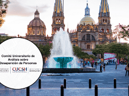 Según datos de la UdeG, el grupo etario respecto a personas desaparecidas a tenido un modificación de importante análisis. UNSPLASH/Roman Lopez / FACEBOOK/Comité Universitario de Análisis en materia de Desaparición de Personas