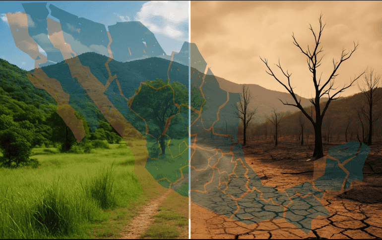 Desde la era preindustrial hasta 2024, la temperatura ha subido 1.8 °C, con una tasa de aumento de 3.2 °C por siglo. ESPECIAL
