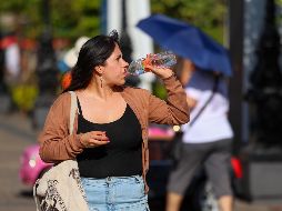 Tras los pronósticos del clima, surgen preguntas tales como la de cuánta agua se debe beber al día para evitar la deshidratación. EL INFORMADOR / ARCHIVO