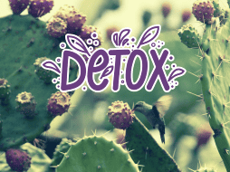 La tuna es rica en calcio, potasio, magnesio, antioxidantes, avonoides, betacaroteno y vitamina C. EL INFORMADOR / ARCHIVO