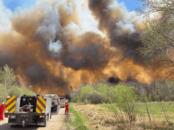 En todo el país hay 89 incendios forestales activos, de los que 44 están fuera de control. ESPECIAL