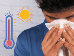 Aunque es una práctica común, la realidad es que poner un tapón en la nariz para intentar detener el flujo de sangre y levantar la cabeza es poco recomendable. ESPECIAL