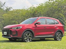 Cara del modelo. Una prominente parrilla baja enmarcada por ópticas afiladas unidas entre sí. ESPECIA