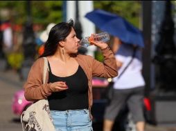 Para evitar un golpe de calor debes hidratarte constantemente, aunque no tengas sed. EL INFORMADOR / ARCHIVO