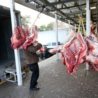 La Proepa clausura  rastro municipal de Juanacatlán